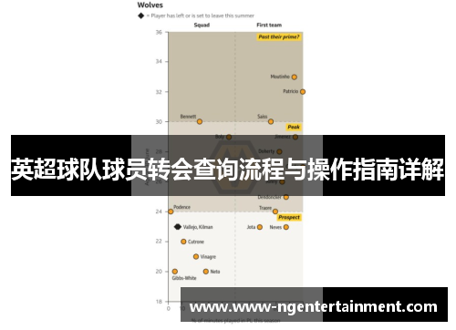 英超球队球员转会查询流程与操作指南详解