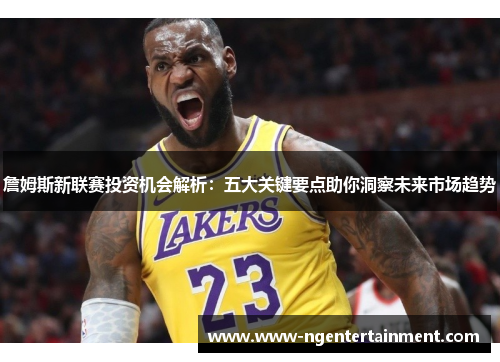 詹姆斯新联赛投资机会解析：五大关键要点助你洞察未来市场趋势
